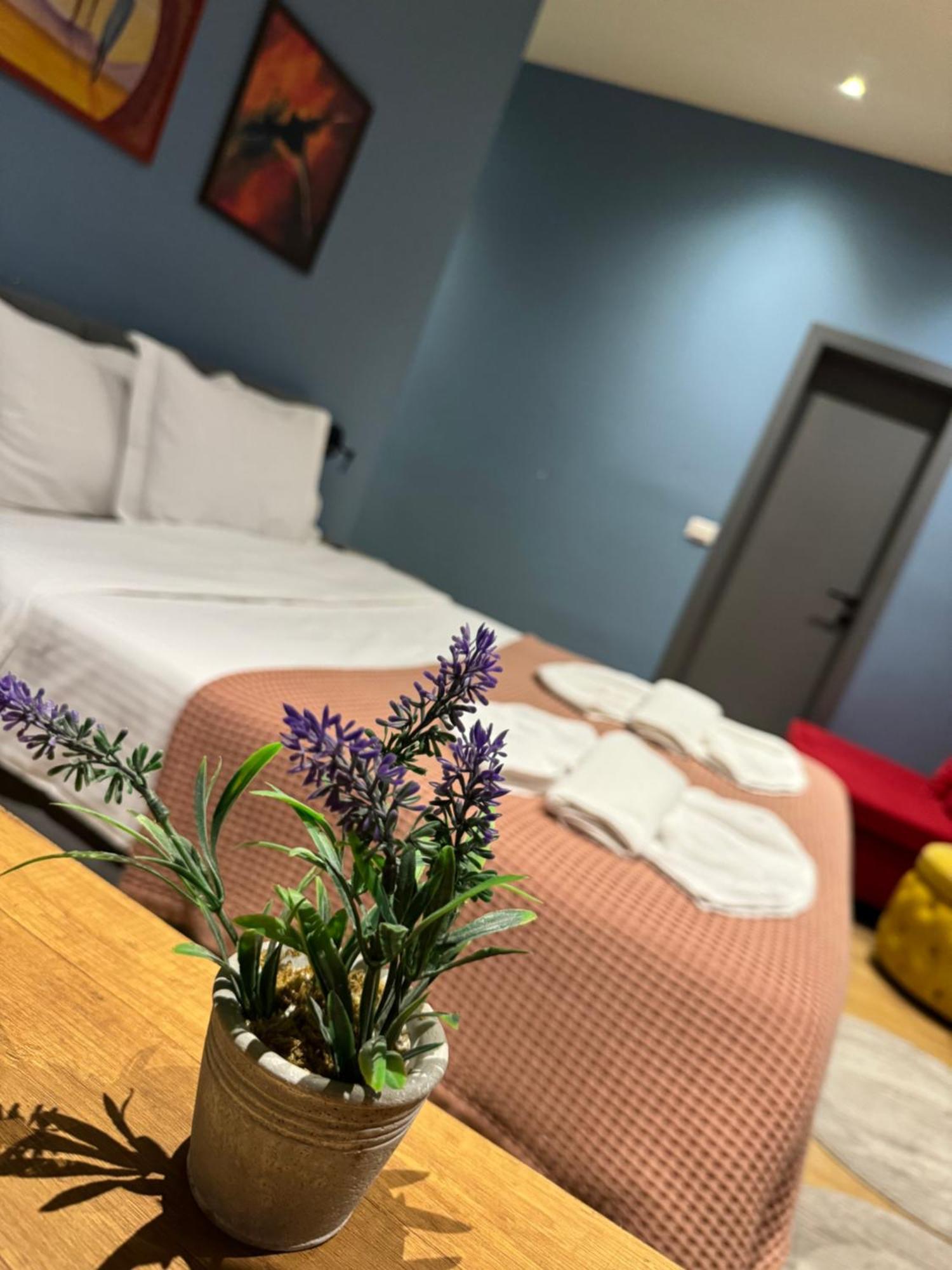Tirona Hotel *